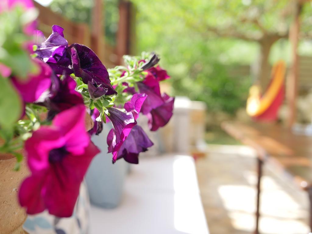 Villa Victoria Boutique Apartments Sívota Eksteriør billede